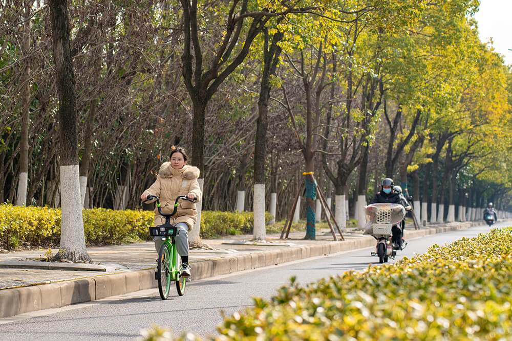 開工首日永安行騎行量增三成 開工首日永安行騎行量增三成
